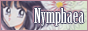 Nymphaea - a gallery of thought and beauty